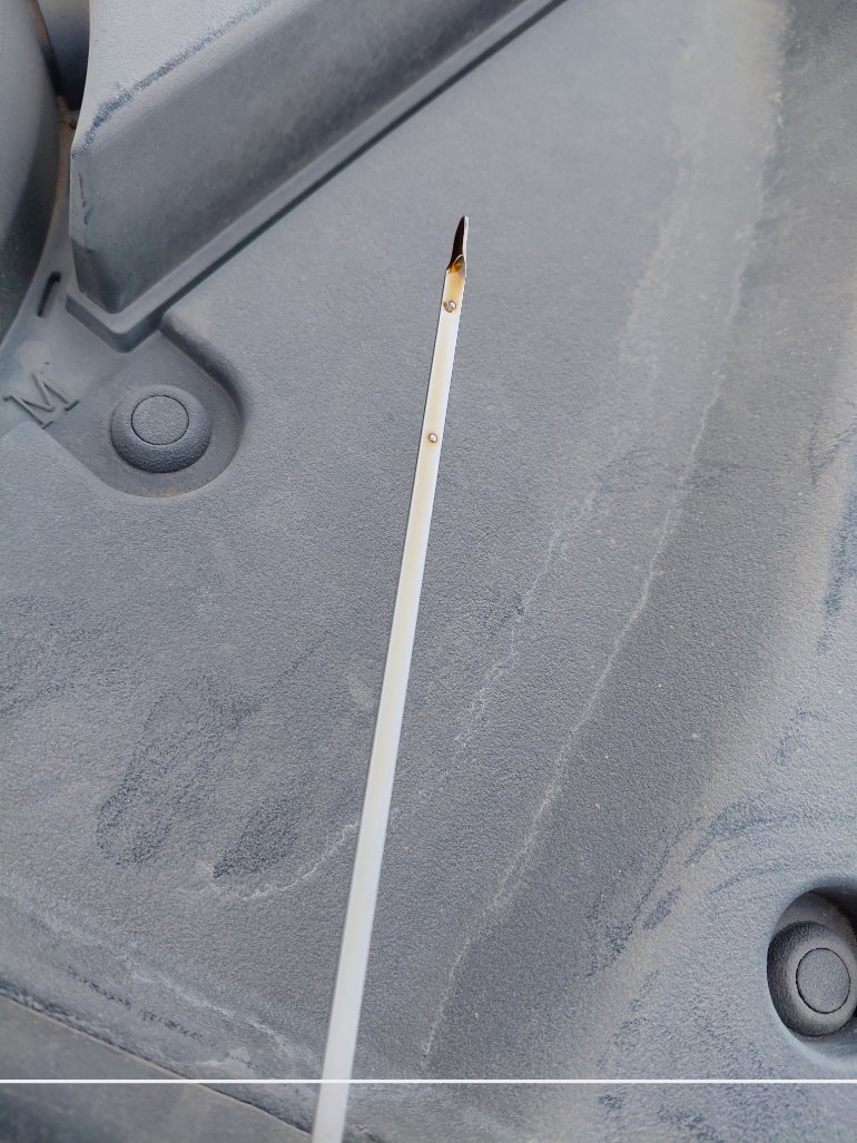 تويوتا كورولا XLI EXE M/R  2022 image