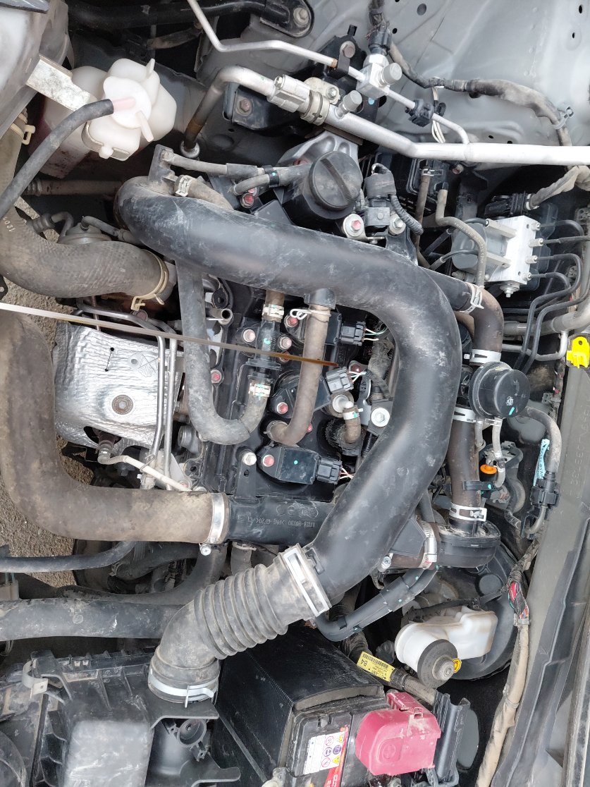 Toyota RAIZE XLE 2022 image