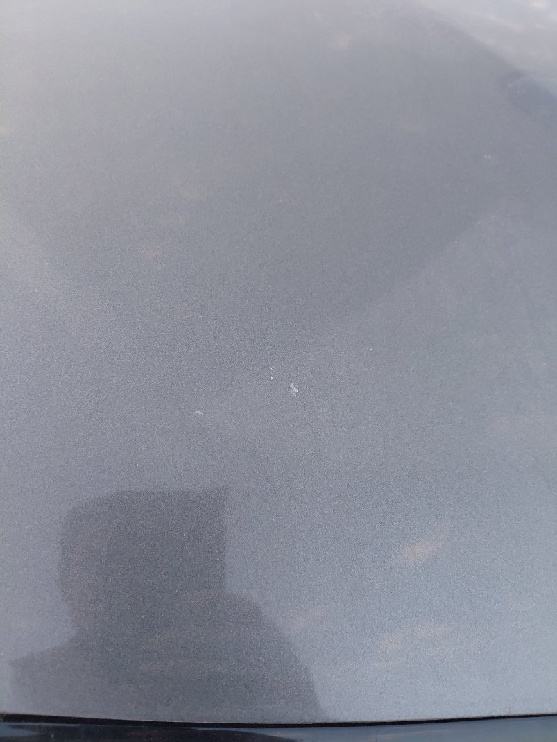 Toyota Corolla XLI  2022 image