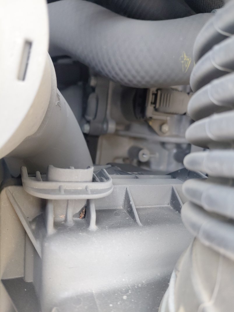 تويوتا كورولا XLI EXE M/R  2024 image