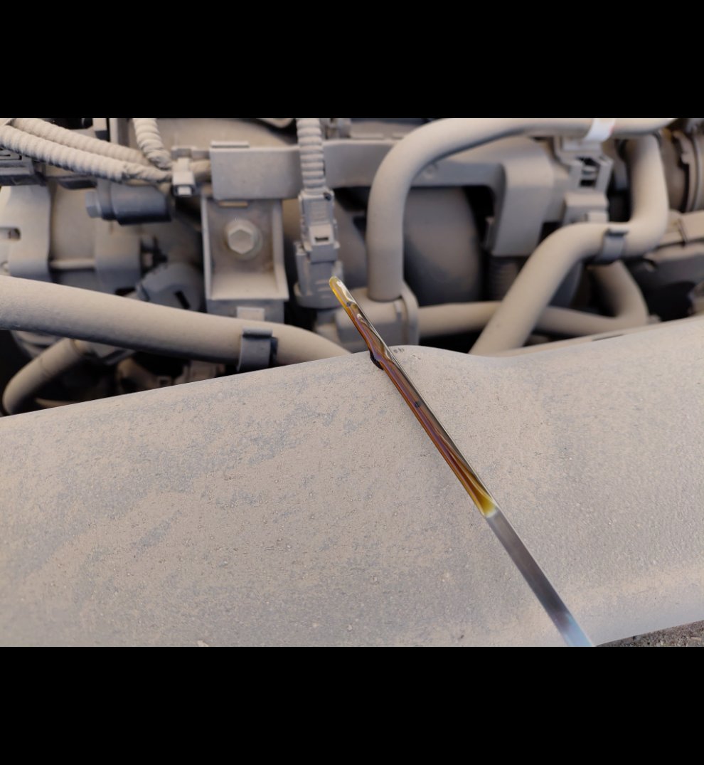 تويوتا كورولا XLI EXE 2023 image