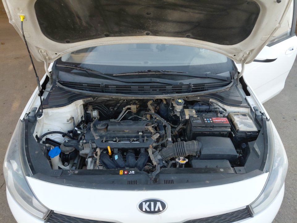 KIA Rio BASIC  2020 image