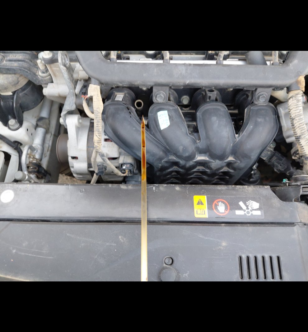 KIA Rio BASIC  2020 image