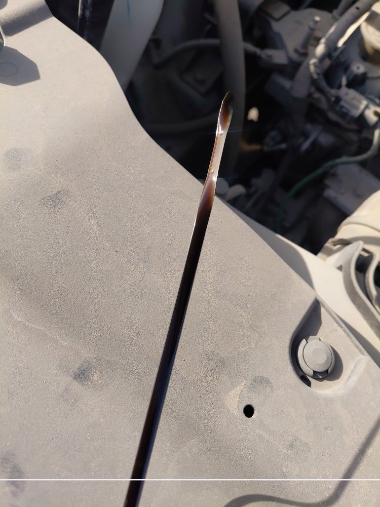 تويوتا اوربان كروز GLX 2024 image