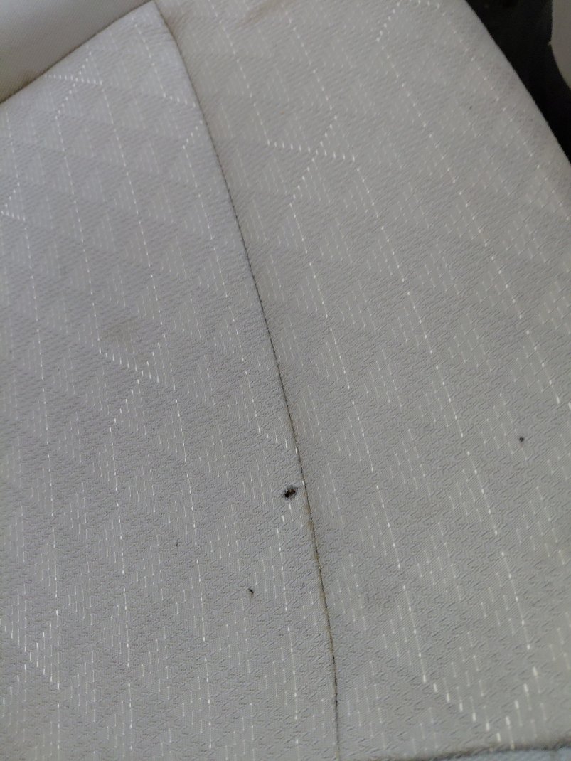 KIA Rio BASIC  2020 image