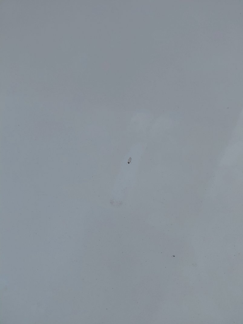 KIA Rio BASIC  2020 image