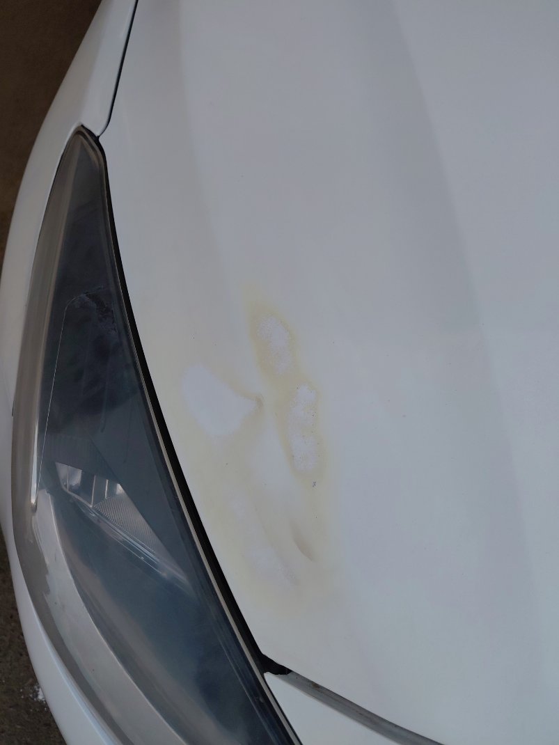 KIA Rio BASIC  2020 image