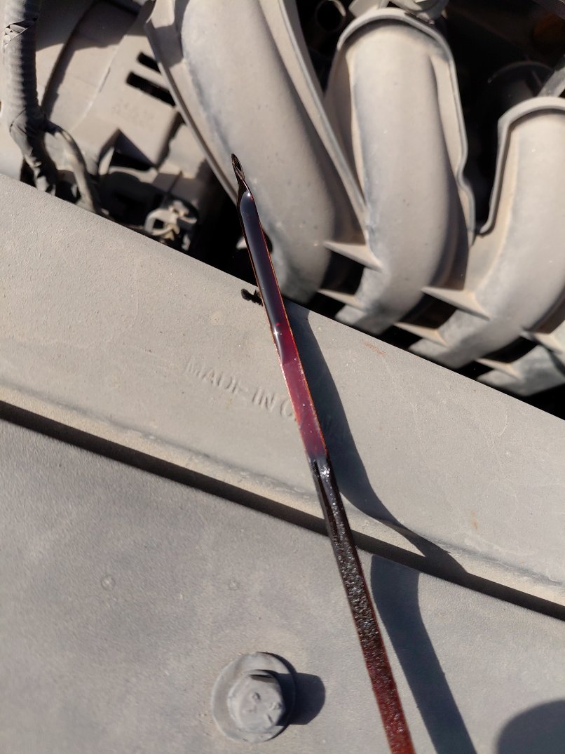 هيونداي أكسنت GL  2020 image