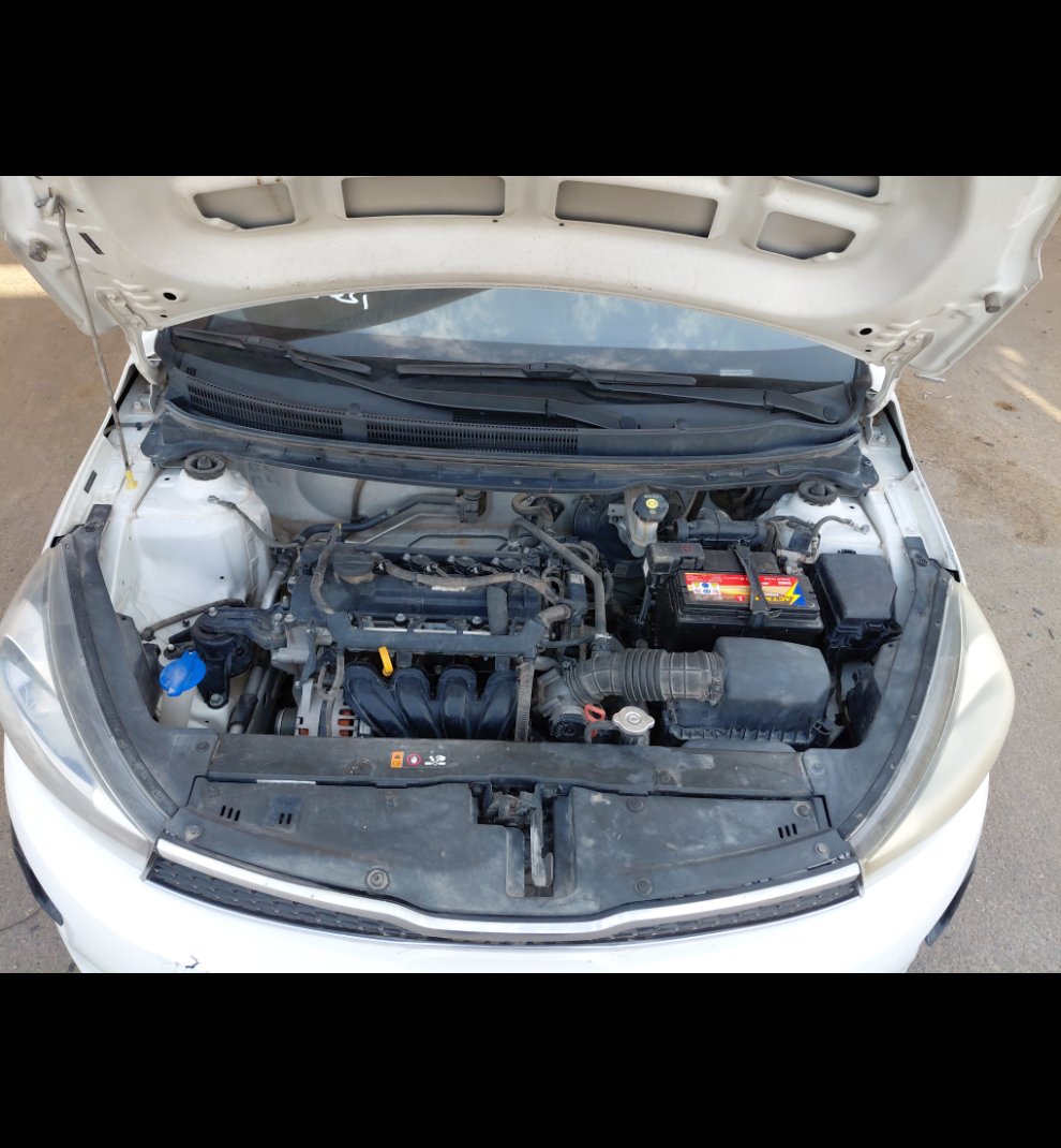 KIA Pegas LX 2021 image