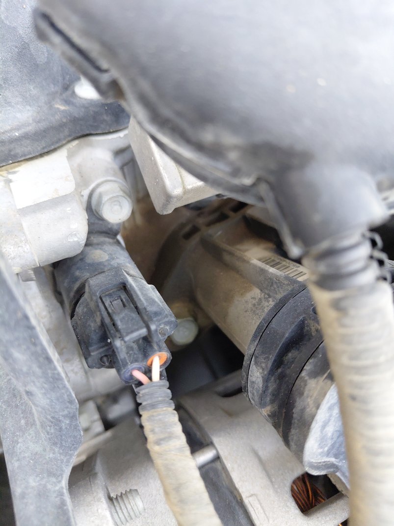 KIA Pegas LX 2021 image