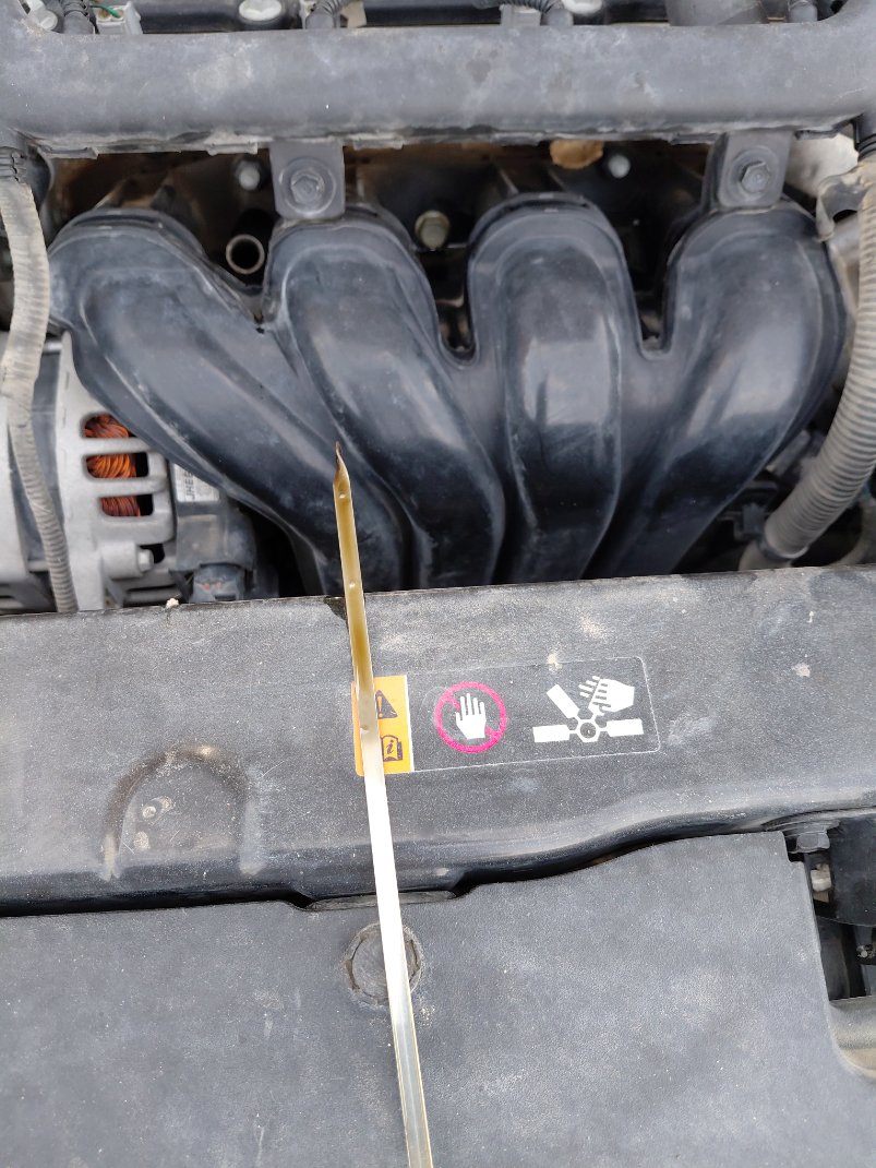 KIA Pegas LX 2021 image