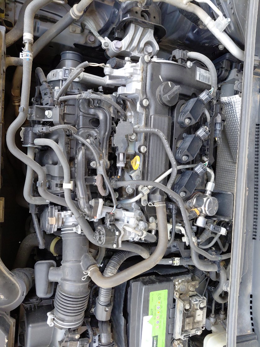 Toyota Corolla XLI EXECUTIVE M/R 2021 image