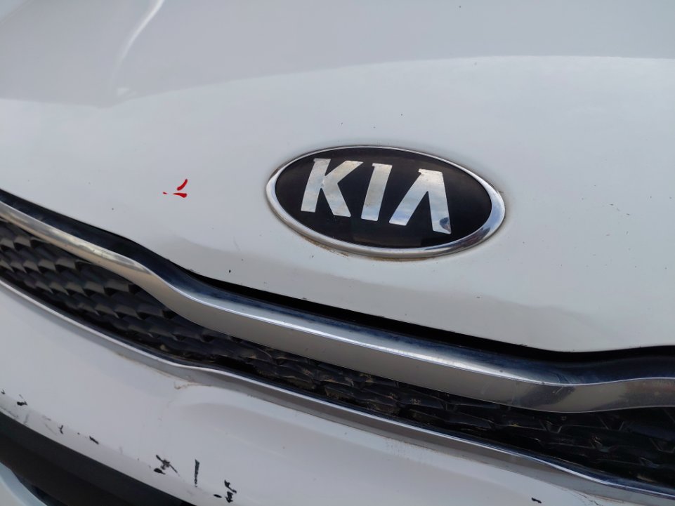 KIA Pegas LX 2021 image