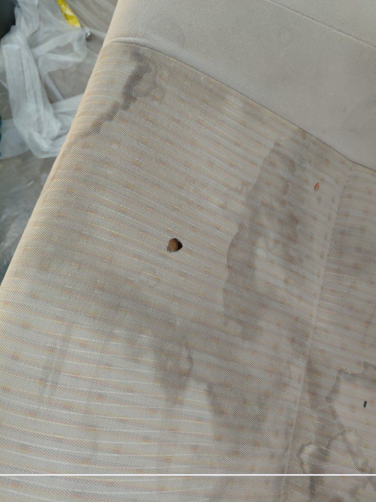 تويوتا يارس Y 2021 image