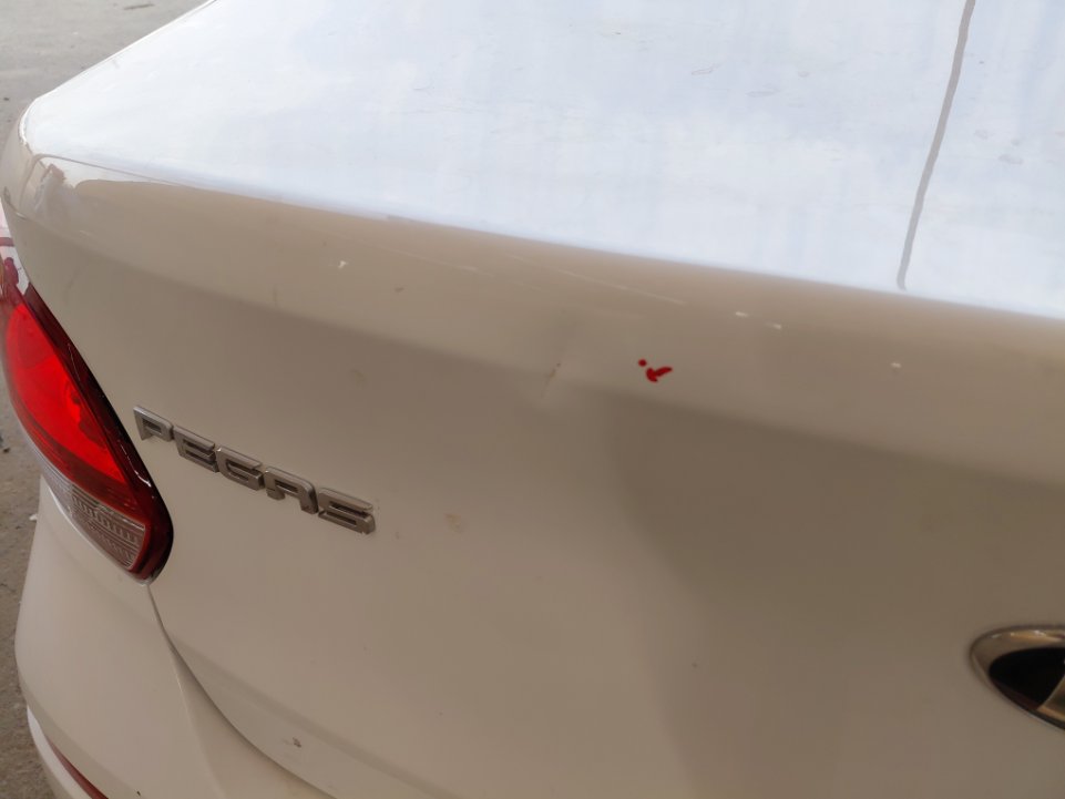 KIA Pegas LX 2021 image