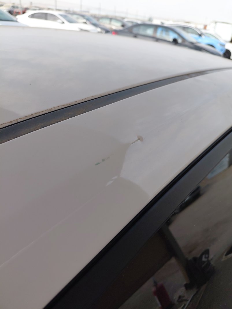 KIA Pegas LX 2021 image