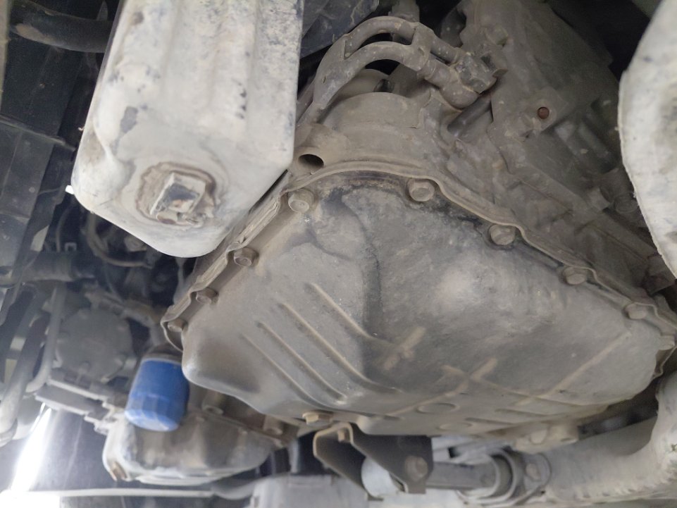 KIA Pegas LX 2021 image