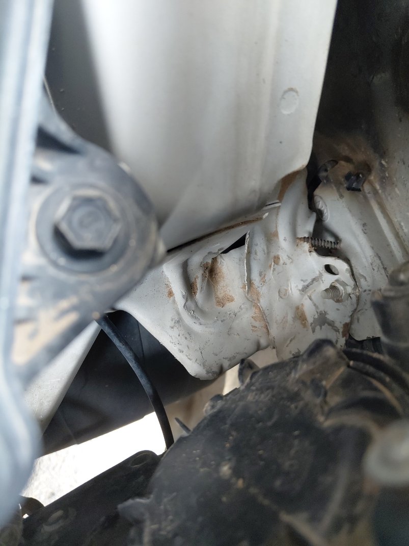 KIA Pegas LX 2021 image