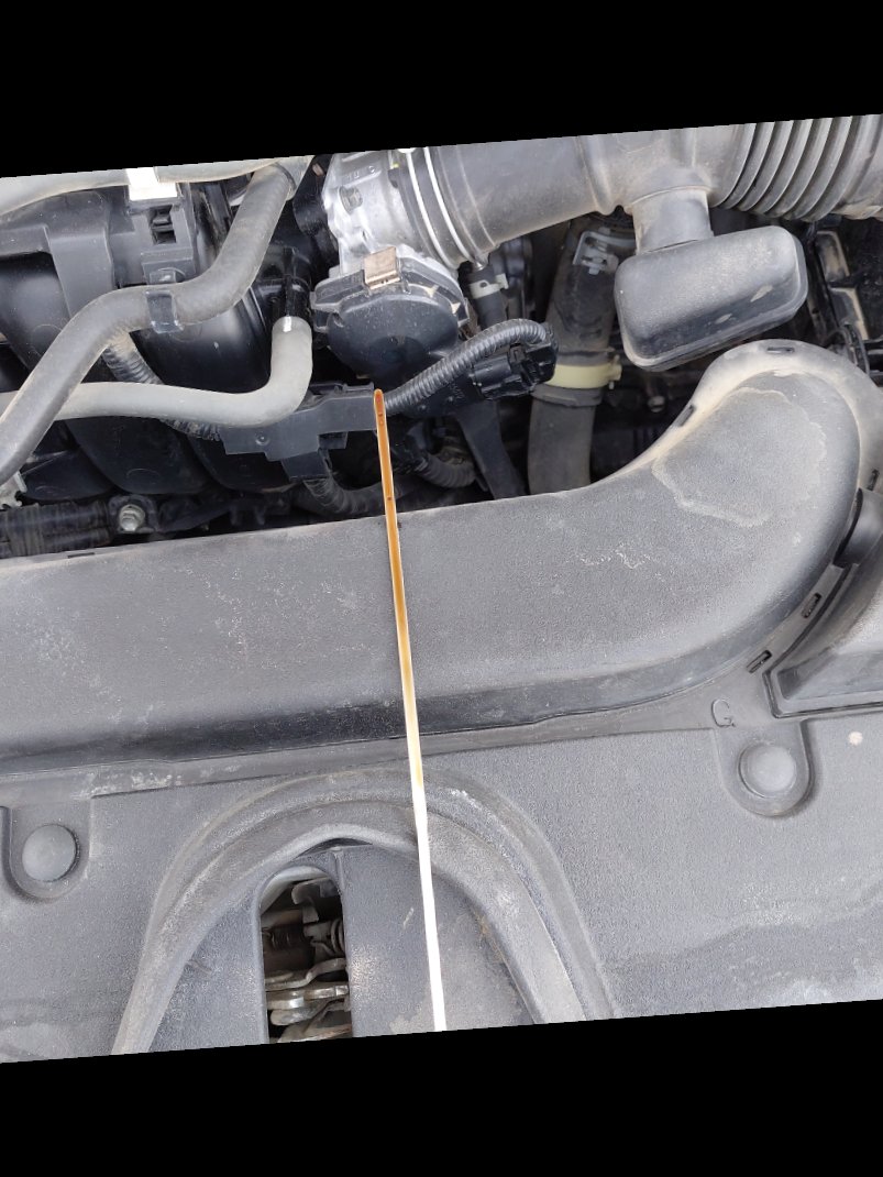 Toyota Corolla  XLI EXE  2022 image