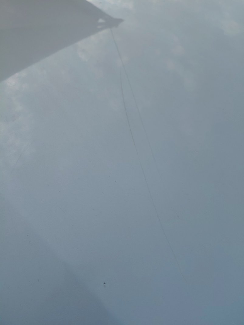 Toyota Corolla  XLI EXE  2022 image