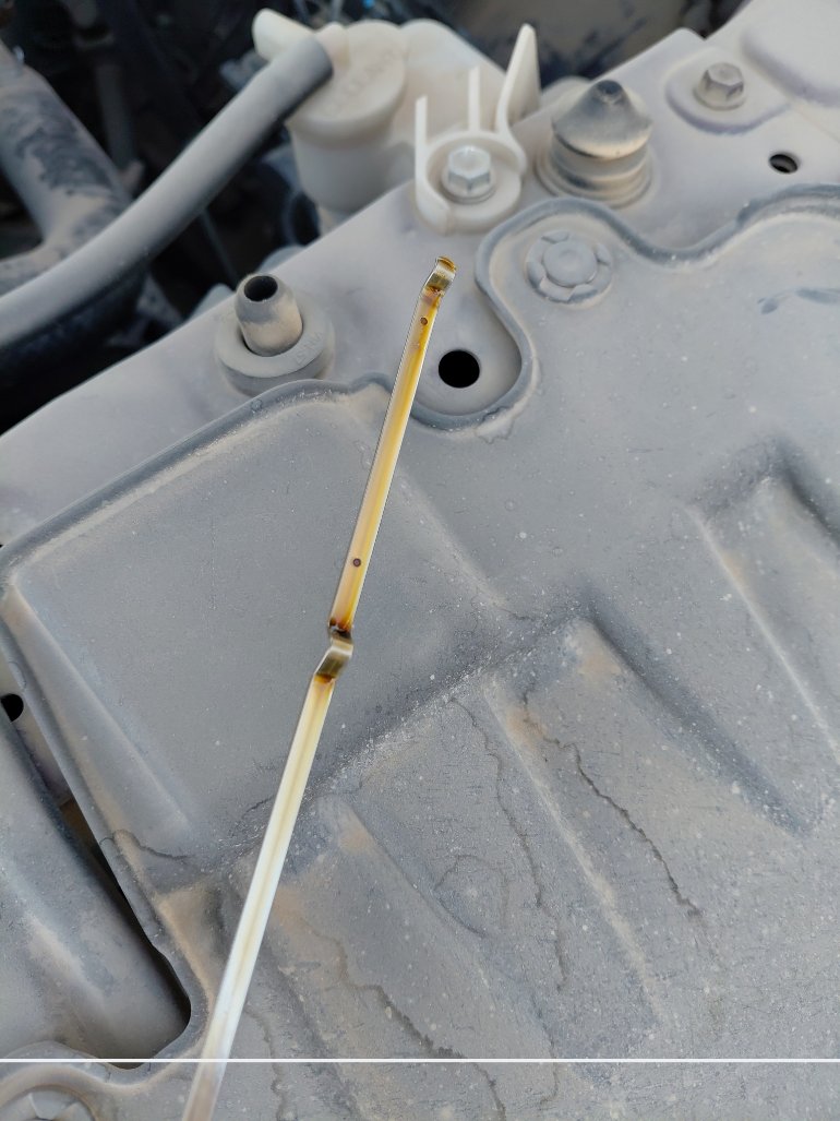 تويوتا راش  GL 75  SPORT 2022 image