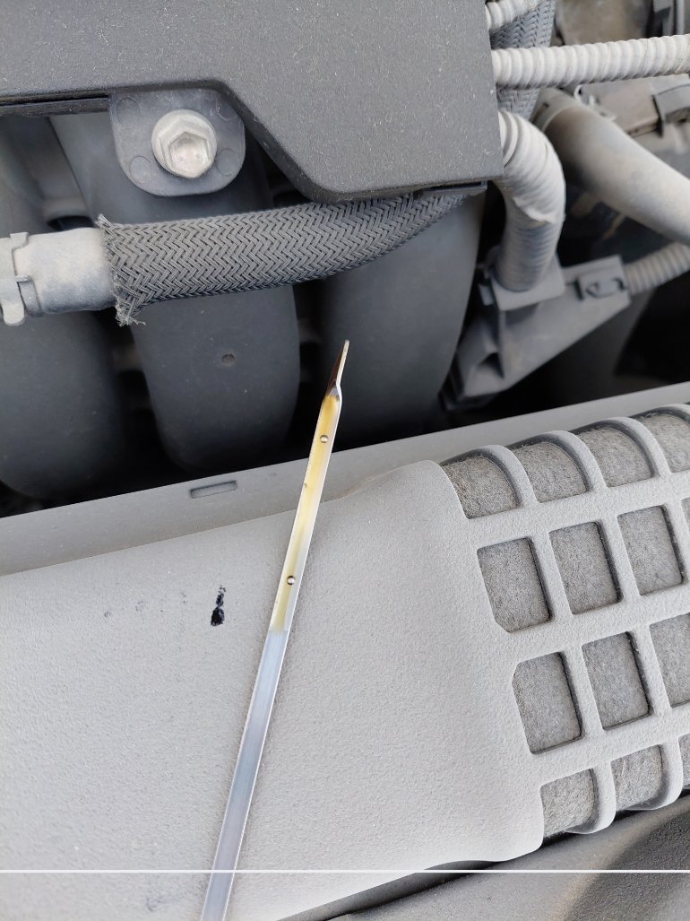 تويوتا كورولا  XLI EXE M/R 2022 image