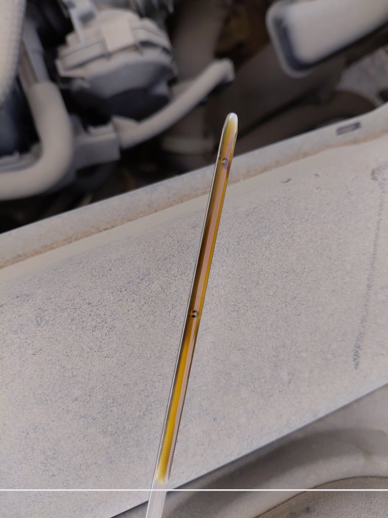 تويوتا كورولا  XLI EXE  2021 image