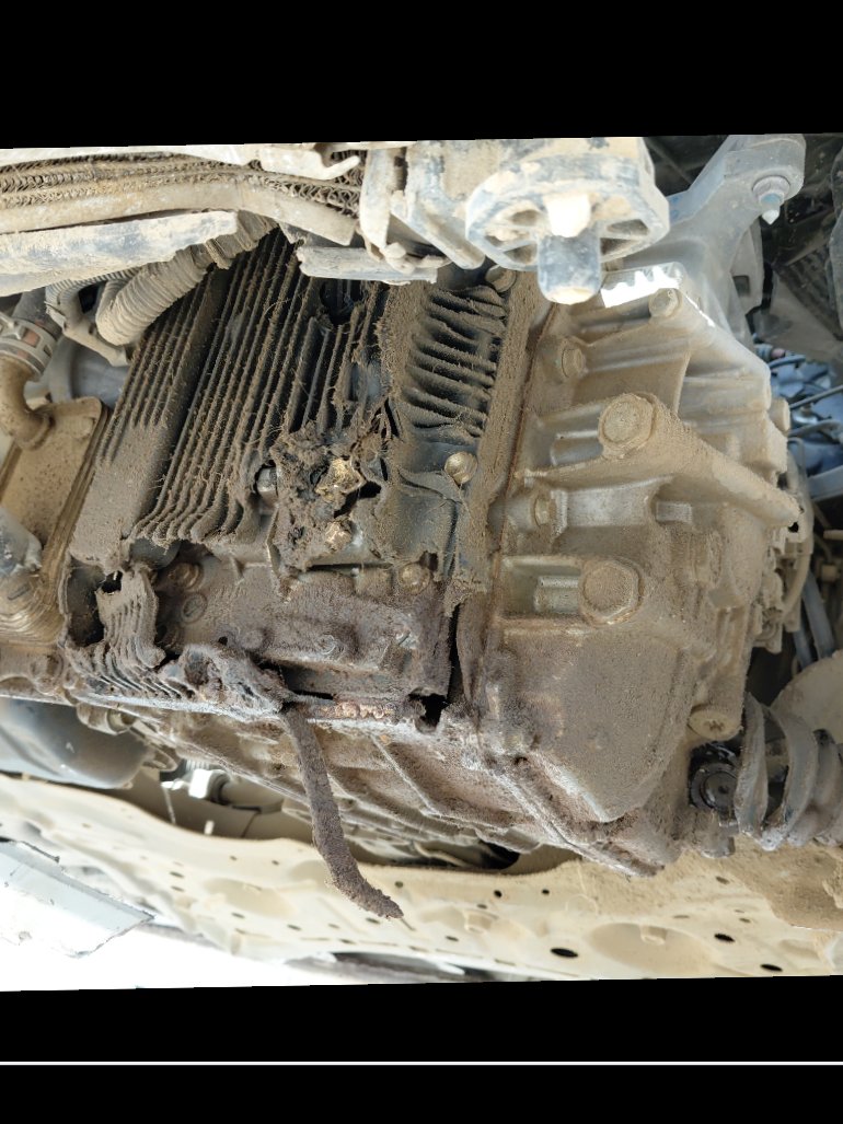 تويوتا كورولا  XLI EXE  2021 image