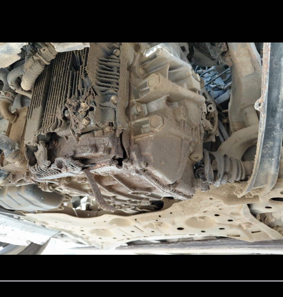 تويوتا كورولا  XLI EXE  2021 image