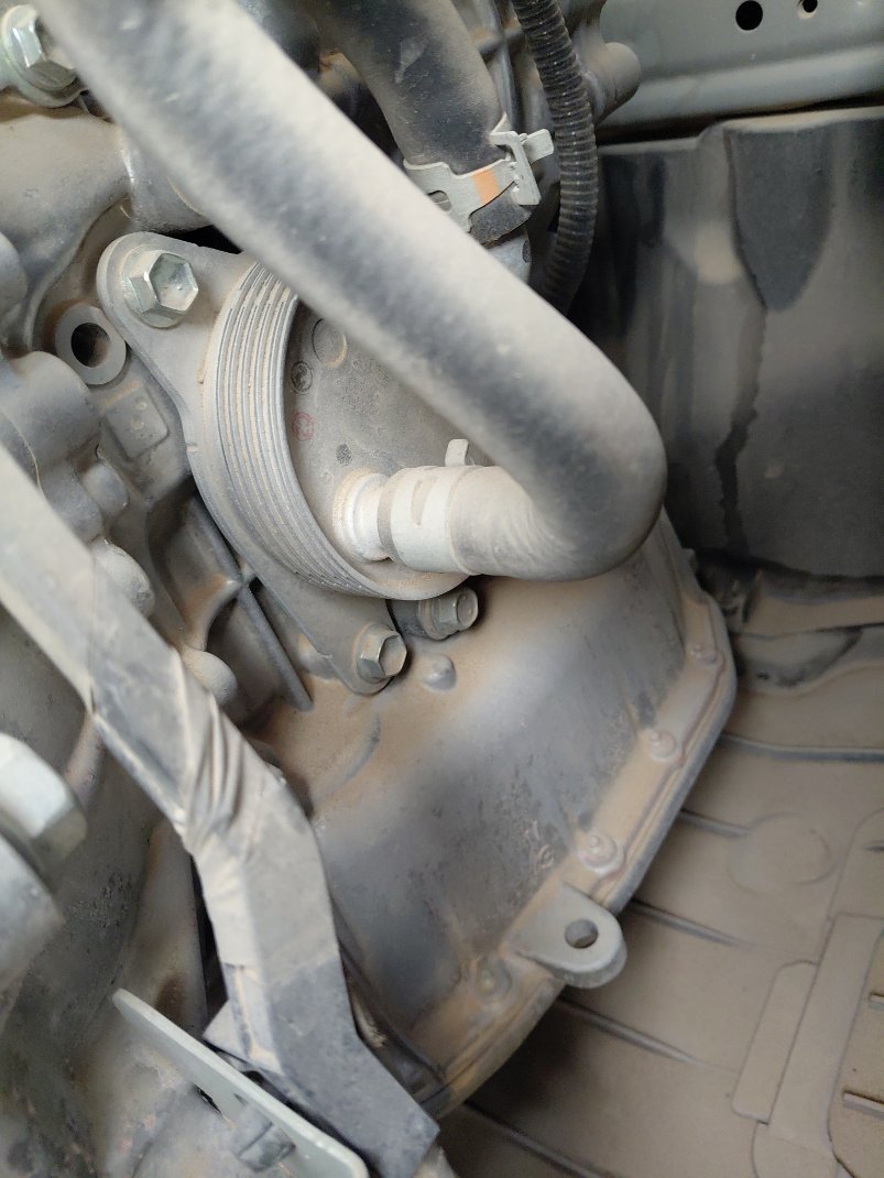 Toyota Yaris Y 2024 image