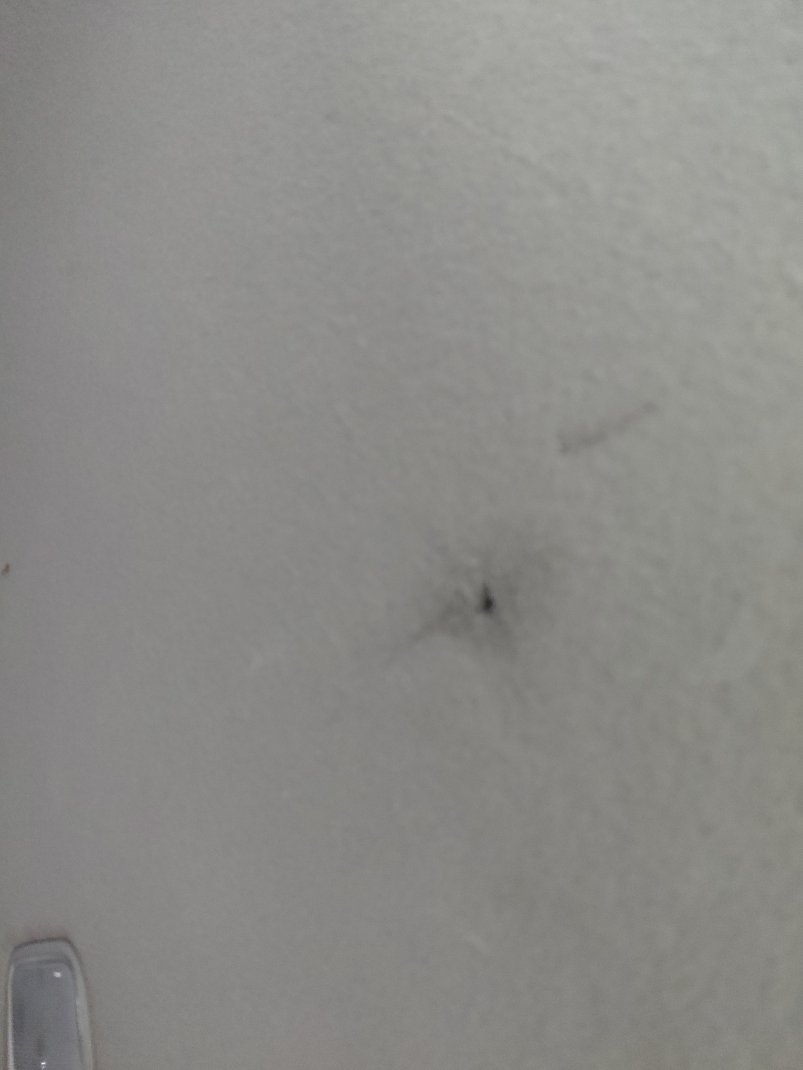 Toyota Yaris Y 2024 image