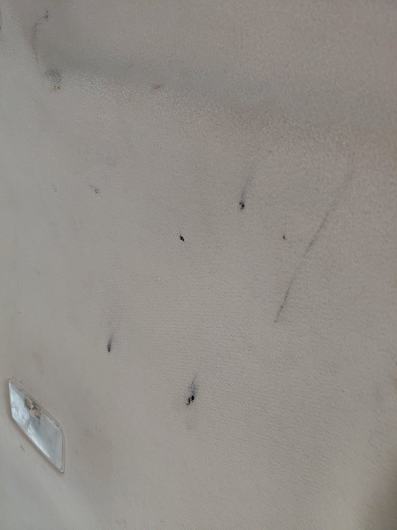 Toyota Yaris Y 2020 image