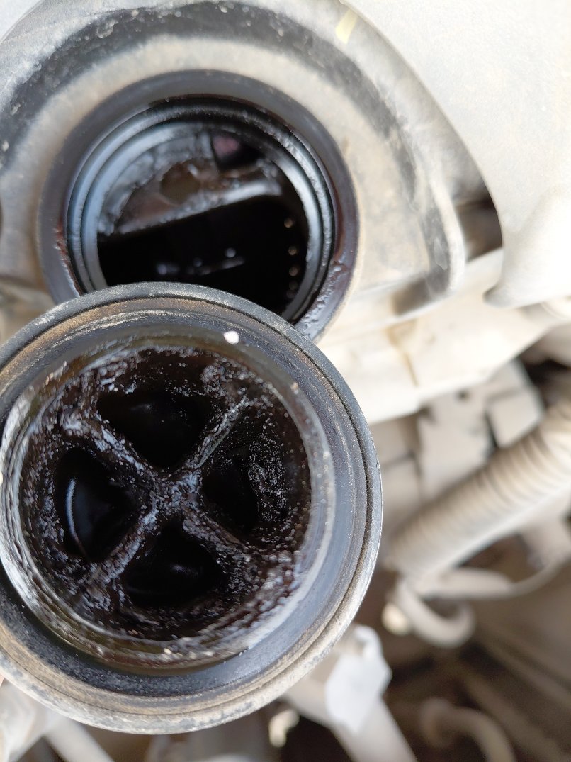 Toyota Yaris Y 2020 image