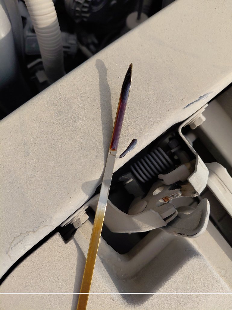 KIA Pegas LX  2022 image