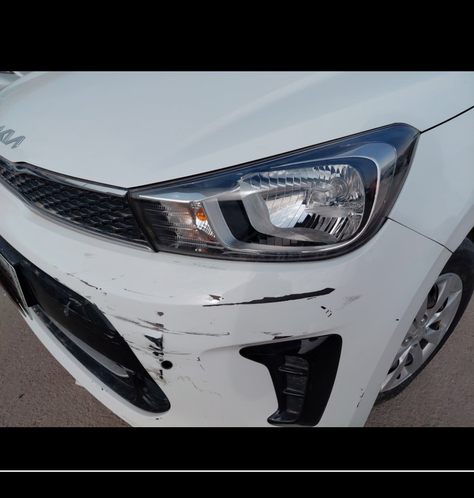 KIA Pegas LX  2022 image