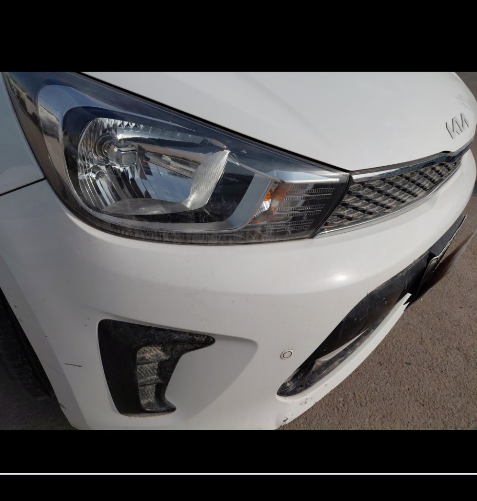 KIA Pegas LX  2022 image