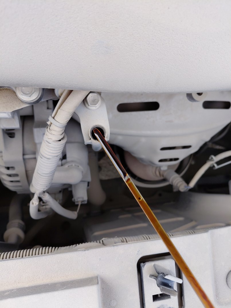 Toyota Yaris Y 2021 image