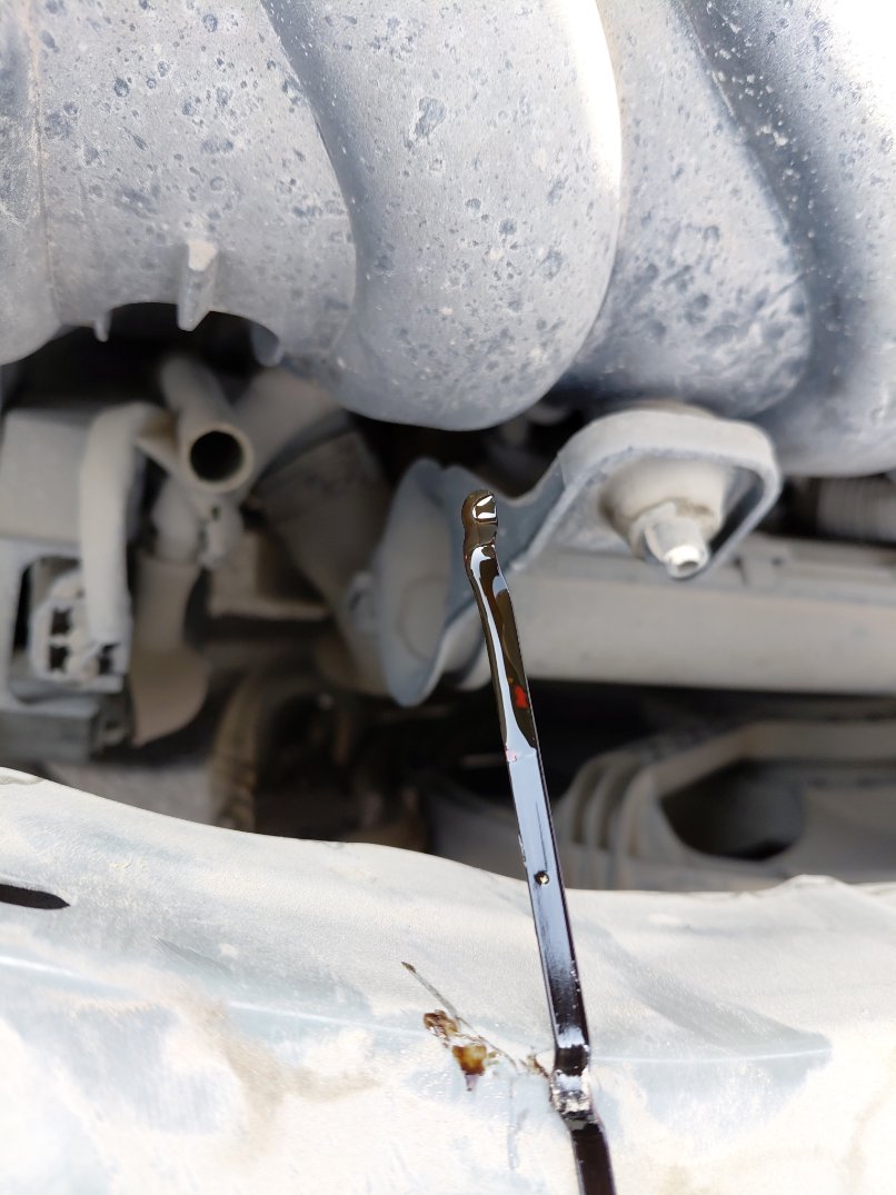 Nissan Sunny FLEET 2020 image