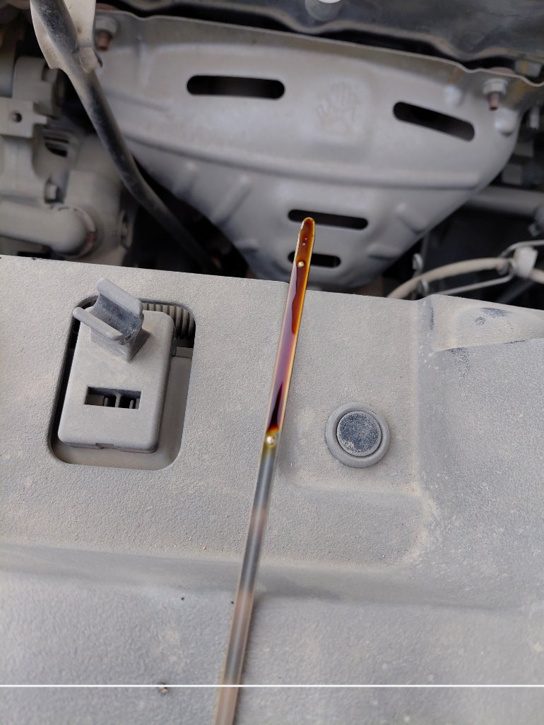 Toyota Yaris Y 2019 image