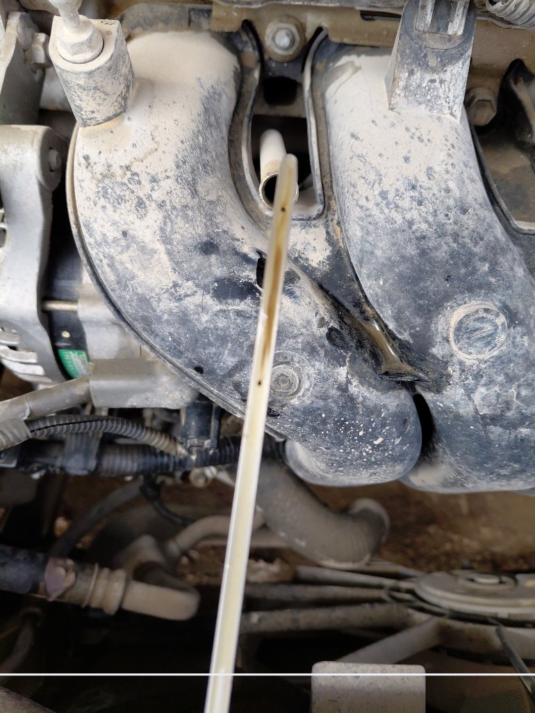 Toyota Corolla  XLI EXECUTIVE  2020 image