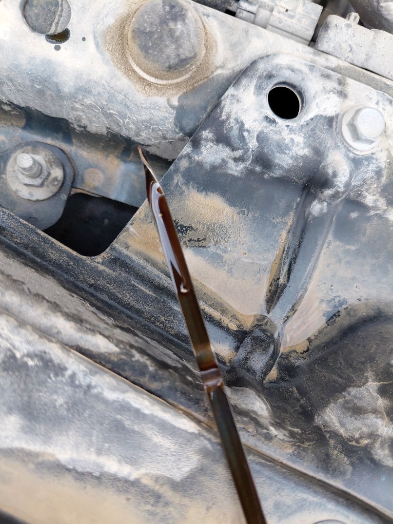 Chevrolet  Malibu ال اس 2020 image