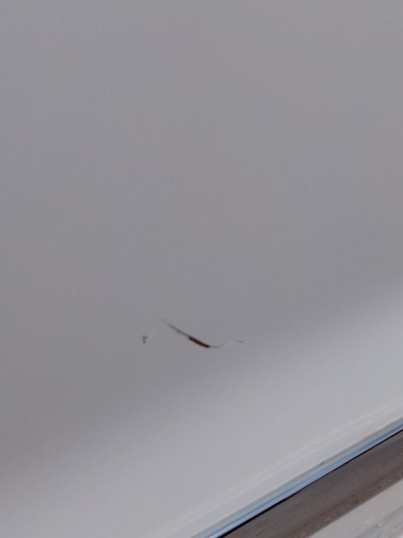 Toyota Corolla XLI EXE M/R 2025 image