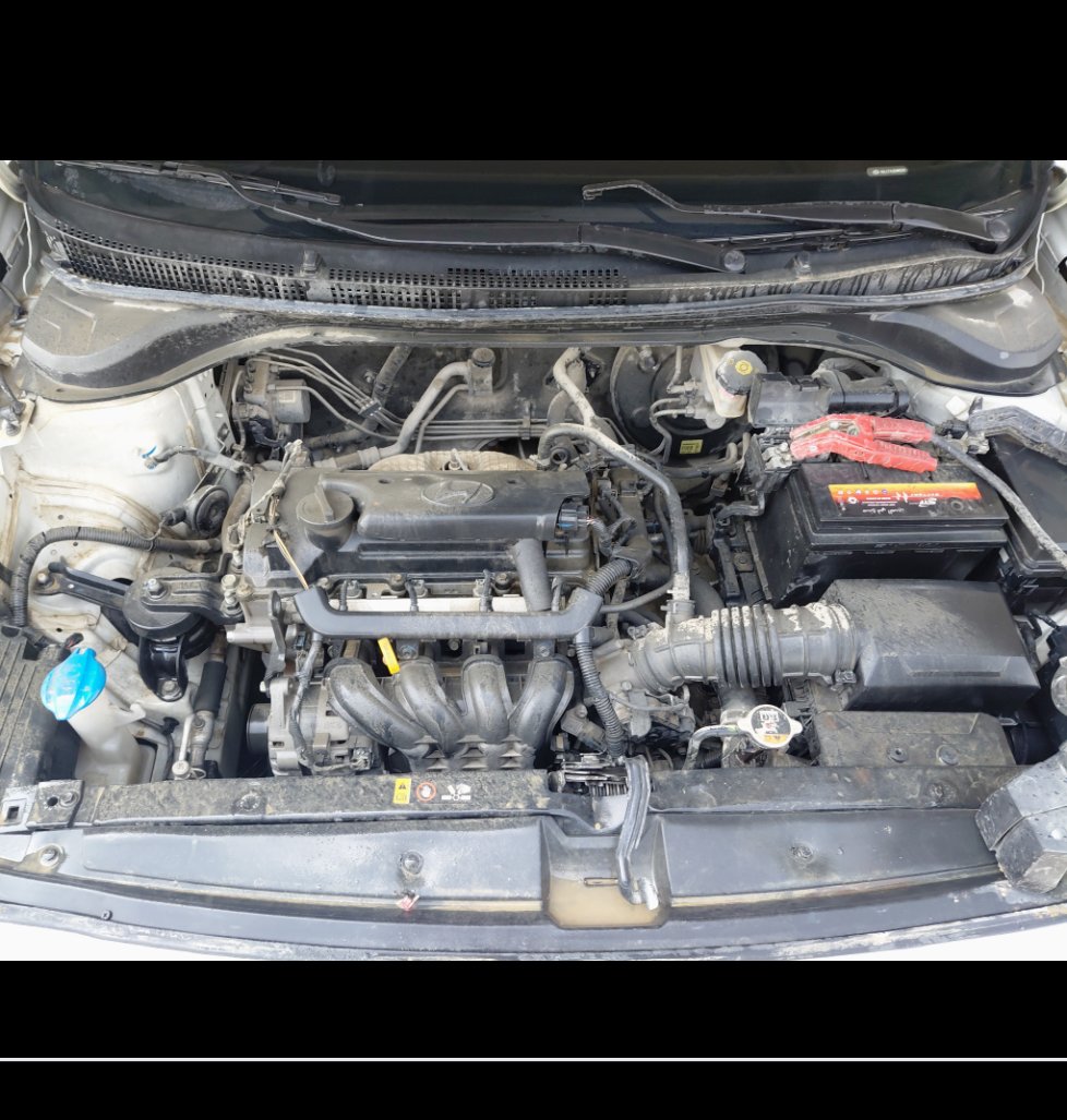 Hyundai Accent  FLEET  2021 image