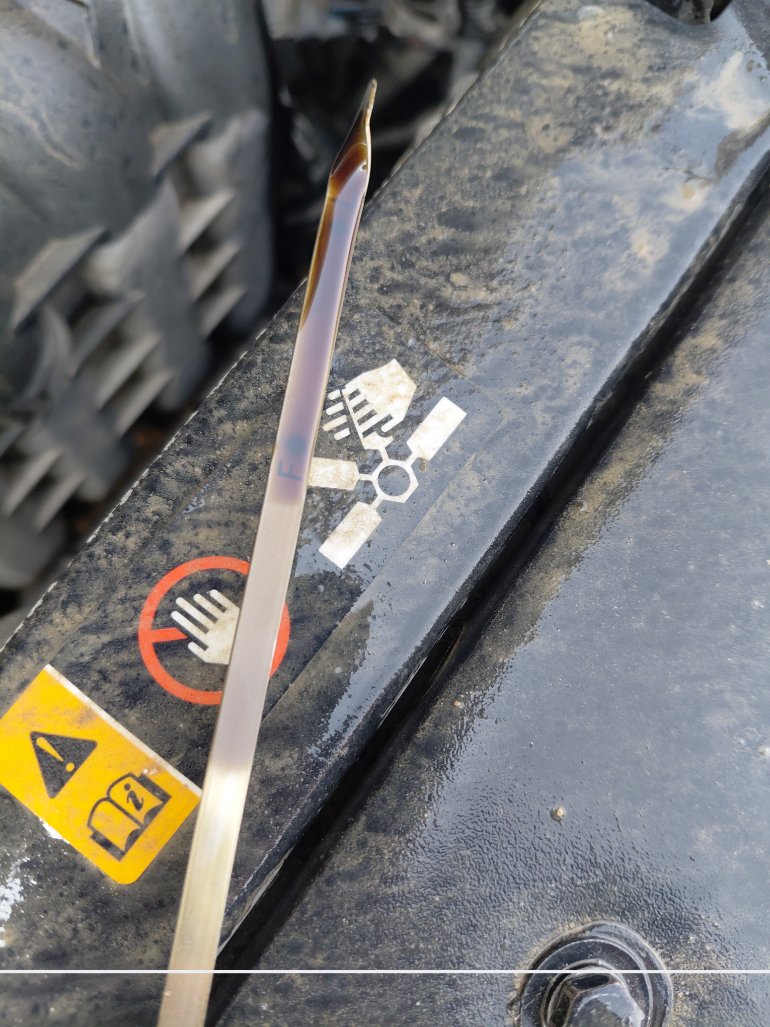 Hyundai Accent  FLEET  2021 image