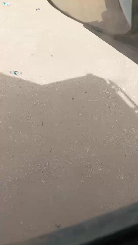 مان TGS 19.440 رأس تريلا حمولة المركبة 2 طن 2015 video