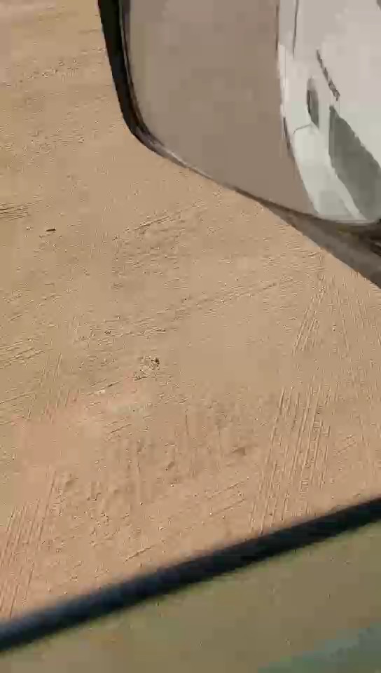 مان TGS 19.440 رأس تريلا حمولة المركبة 2 طن 2013 video