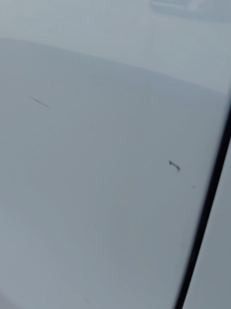 رينو داستر رياضيه  2020 image