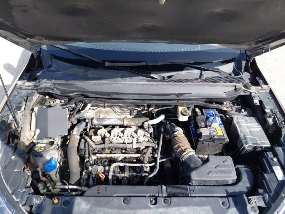 هافال جوليان اكتيف رياضيه  2023 image