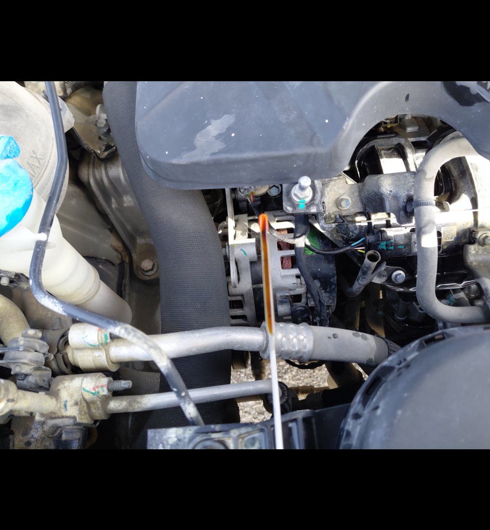 هافال جوليان اكتيف رياضيه  2023 image