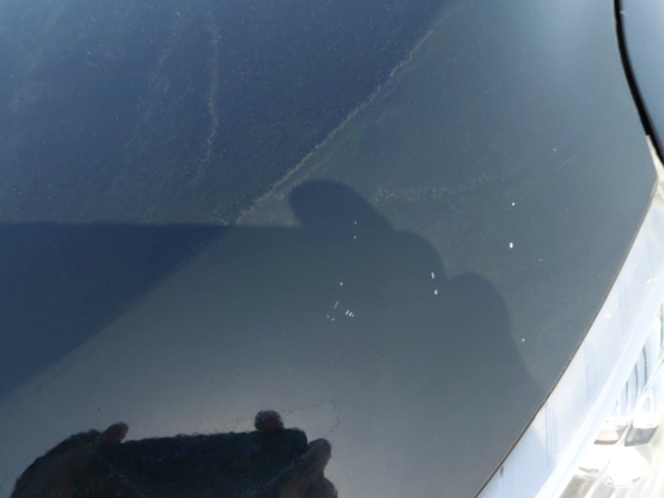 هافال جوليان اكتيف رياضيه  2023 image